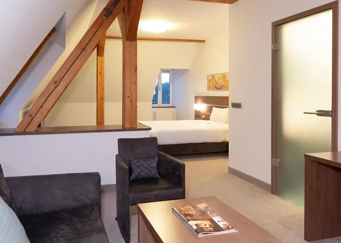 Hotel Bruehlerhoehe 3*